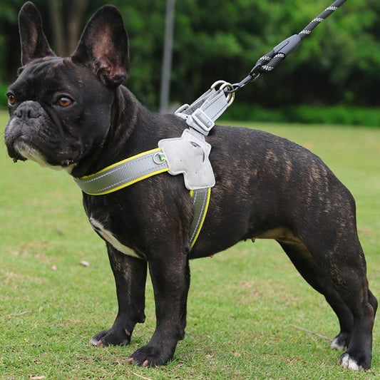 Arnés para Perro con Correa de Malla Transpirable y Agarre Manual