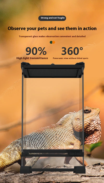 Cilindro de Escalada Ecológico para Reptiles - Casa de Alimentación para Tortugas y Lagartos - Image 12