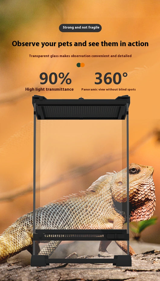 Cilindro de Escalada Ecológico para Reptiles - Casa de Alimentación para Tortugas y Lagartos - Image 12