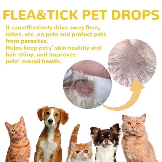 Champú Antiparasitario para Perros y Gatos - Control de Pulgas, Garrapatas y Piojos - Image 4
