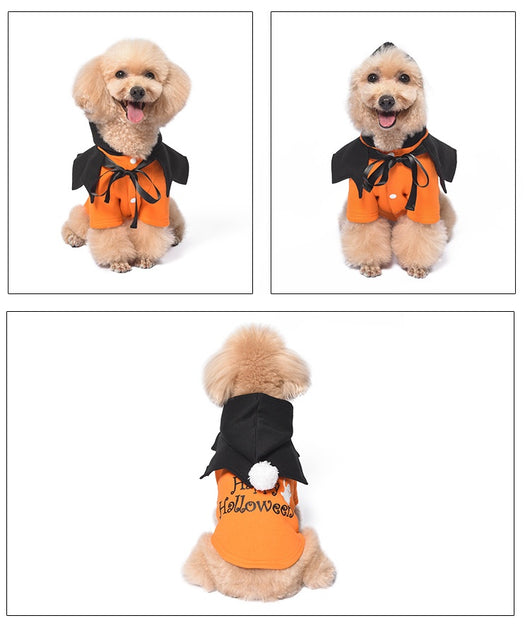 Suéter de Calabaza Divertido de Dos Piezas para Perros - Poncho Incluido - Image 19