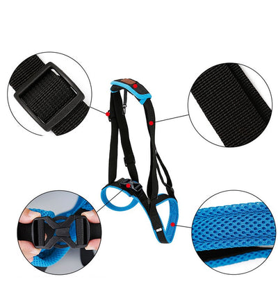 Soporte de Marcha con Correa para Patas de Mascotas - Image 47