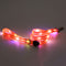 Perro Traction Belt Naranja USB