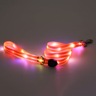 Collar LED Recargable para Mascotas con Correa de Seguridad - Image 7