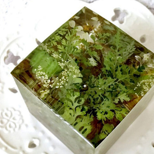 Cubo de Plantas Secas con Flores Deshidratadas y Musgo Natural - Image 5