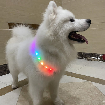 Collar LED Luminoso para Mascotas - Seguridad Nocturna Antiextravío - Image 6