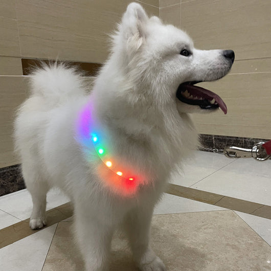 Collar LED Luminoso para Mascotas - Seguridad Nocturna Antiextravío - Image 6
