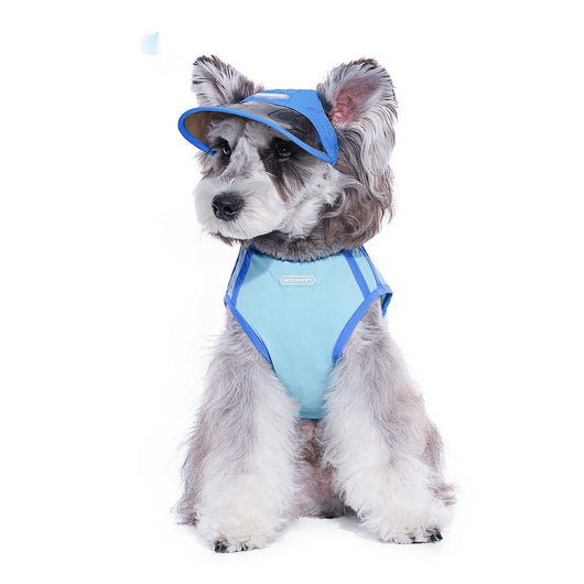 Gorro de Otoño para Perros Pequeños York - Image 11