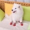 Calcetines Impermeables con Suela de Goma para Mascotas