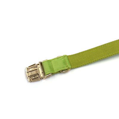 Collar para Perro Terciopelo Matcha Verde Simple - Image 3