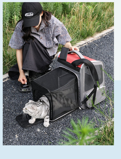 Mochila Transportadora Expandible para Mascotas - Gran Capacidad - Image 19