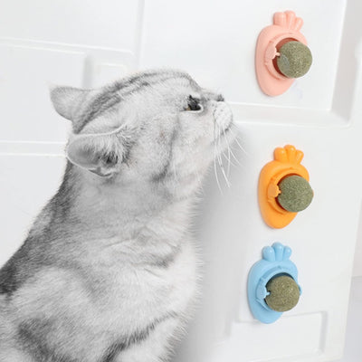 Juguetes de Hierba Gatera Adhesivos con Bolas de Menta para Gatos - Limpieza Dental y Entretenimiento - Image 10