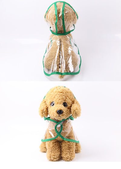 Impermeable Transparente para Mascotas - Image 11