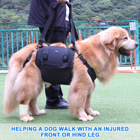 Arnés de Soporte para Patas de Perro - Rehabilitación y Movilidad