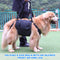 Arnés de Soporte para Patas de Perro - Rehabilitación y Movilidad