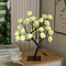 Rosa Verde 24 Luces En Negro USB