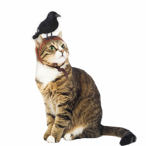 Diadema Decorativa Gato Cuervo - Acceorio Divertido para Mascotas
