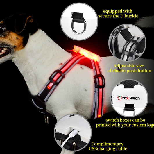 Correa Luminosa Recargable para Perros - Cuerda de Nylon Antiexplosión - Image 3