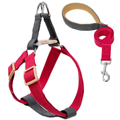 Arnés Chaleco de Correa Ajustable Color Pet para Perros - Image 18
