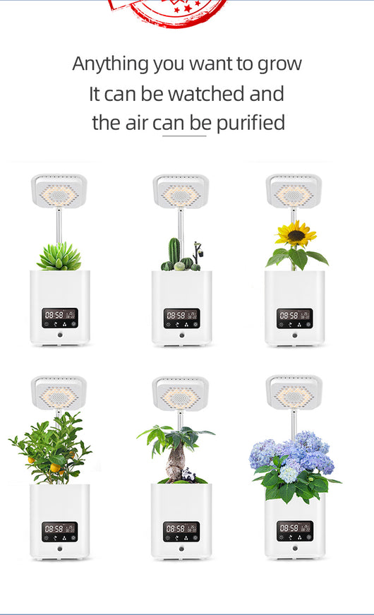 Semillero Inteligente Automático para Plantas de Interior - Image 20