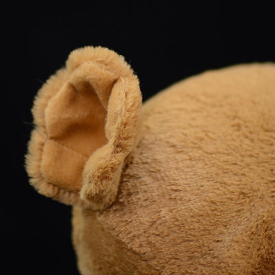 Peluche Educativo Dodo - Colección Biología Prehistórica - Image 12