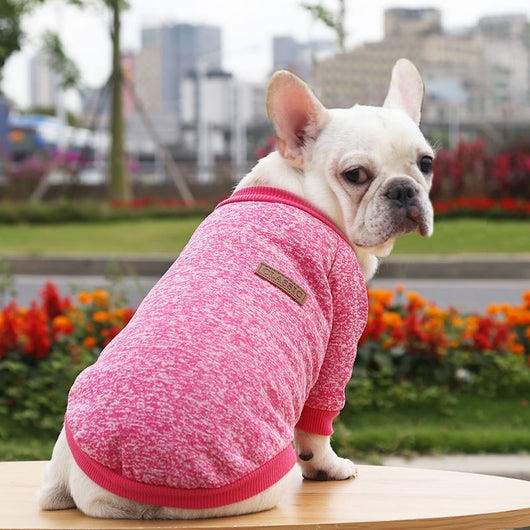 Suéter Abrigado para Perros - Ropa de Invierno Otoño Dos Patas - Image 16