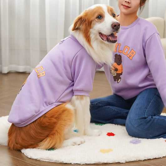Large dog wearing a teal fleece-lined sweatshirt with 'BAYLOR' text and a bear graphic on the back. - Image 19