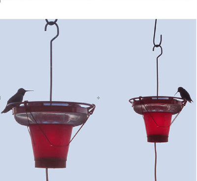Calentador de Ambiente Colibrí - Estufa Decorativa de Alto Rendimiento - Image 4