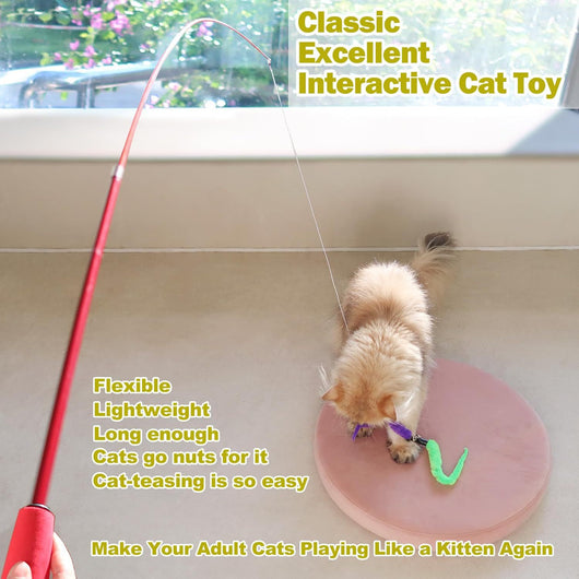 Set de 11 Juguetes para Gatos con Plumas Coloridas - Image 11