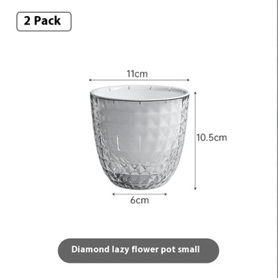 Maceta Transparente Autorregante con Diseño Floral - Image 11