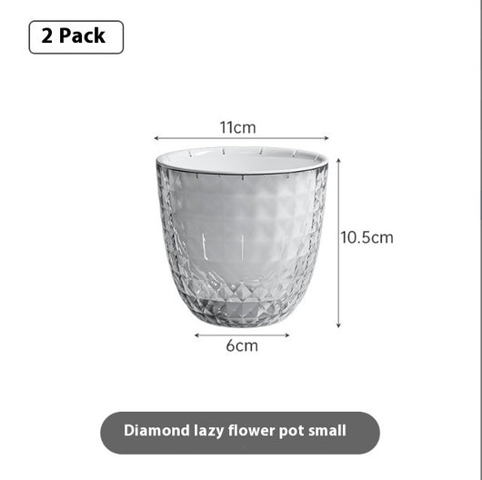 Maceta Transparente Autorregante con Diseño Floral - Image 11