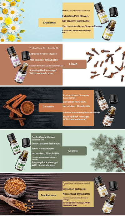 Aceite Corporal Esencial con Rosa Preservada y Té Blanco - Image 49