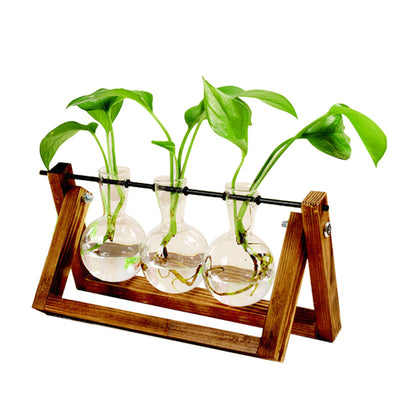 Maceta Hidropónica de Vidrio con Soporte de Madera Colgante - Image 3