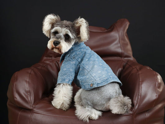 Camisa Denim Primavera Verano para Mascotas - Image 7
