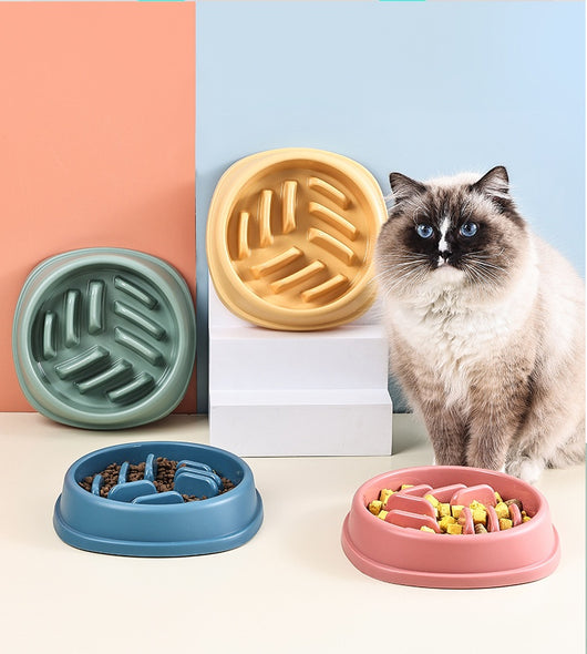 Comedero Lento Antiahogo para Perros y Gatos - Gran Capacidad - Image 7