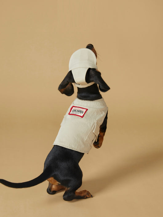 Chaleco Deportivo para Mascotas - Ropa de Trabajo Resistente a Manchas - Image 9