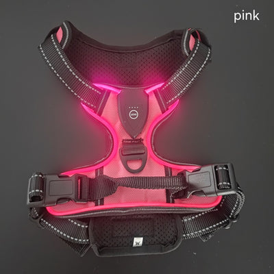 Chaleco LED Luminoso para Paseos Nocturnos de Mascotas con Destello Ajustable - Image 4
