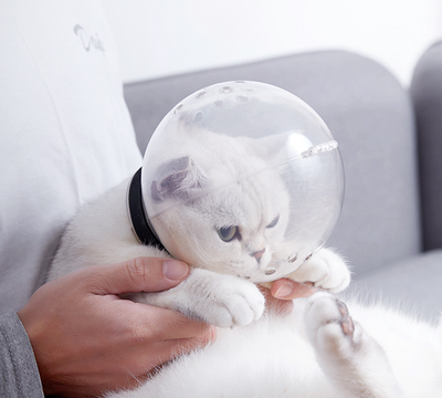 Arnés Protector Respirante para Gatos - Edición Final - Image 9