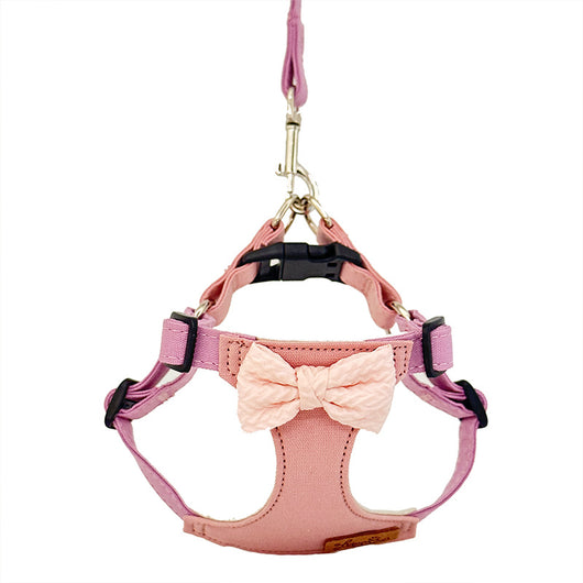 Chaleco Arnés de Cuerda para Perros Pequeños - Image 12