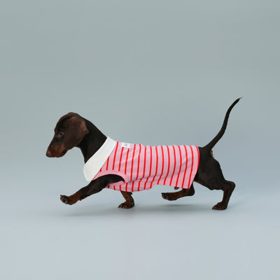Chaleco sin Mangas para Perro Pequeño Rayas Rojo - Image 3
