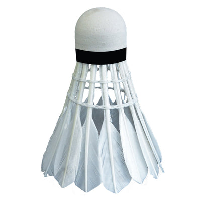 Raqueta de Bádminton Profesional Antiventoentrenamiento Deportivo - Image 11