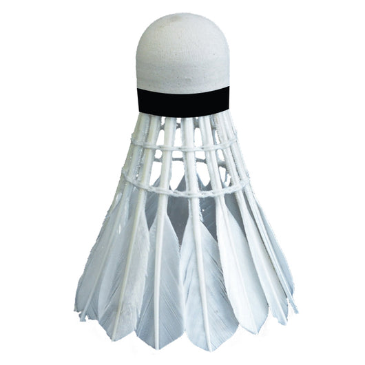 Raqueta de Bádminton Profesional Antiventoentrenamiento Deportivo - Image 11