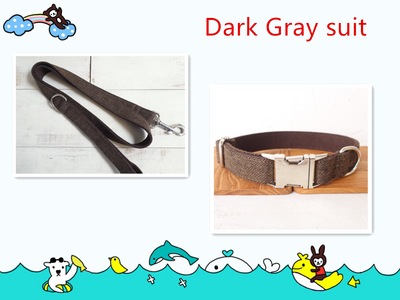 Collar Resistente para Perros con Hebilla de Aleación y Cuerda de Sujeción - Image 3