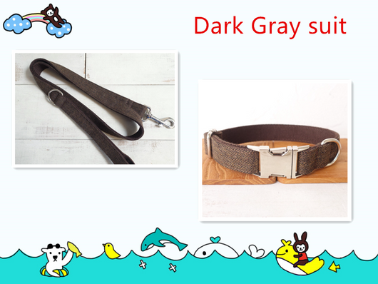 Collar Resistente para Perros con Hebilla de Aleación y Cuerda de Sujeción - Image 3