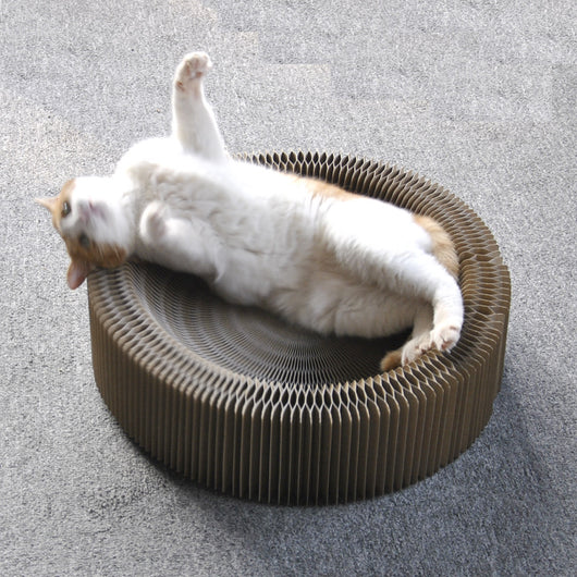 Rascador Corrugado Plegable Orgánico para Gatos - Afilador de Garras Premium - Image 4