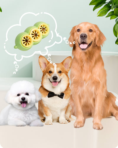 Juguete Interactivo Dispensador de Alimento con Limpieza Dental para Perros - Image 19