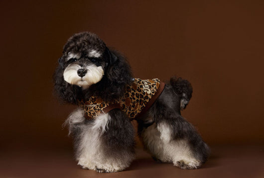 Suéter Tipo Hoodie sin Mangas Estampado Leopardo para Perros Bichon Schnauzer Yorkshire - Image 12