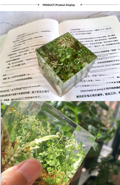 Cubo de Plantas Secas con Flores Deshidratadas y Musgo Natural - Image 9
