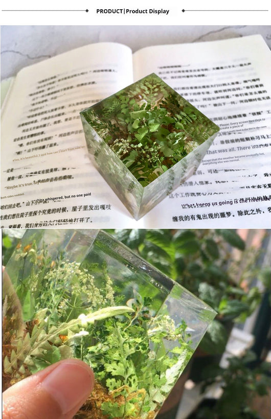 Cubo de Plantas Secas con Flores Deshidratadas y Musgo Natural - Image 9