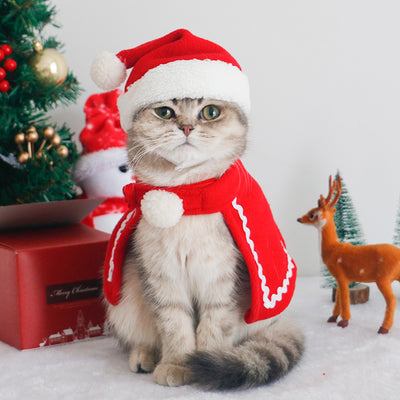 Pañoleta Térmica para Mascotas y Accesorios de Invierno - Image 28